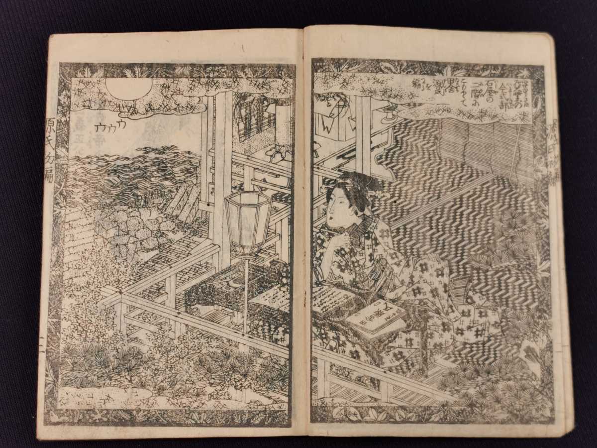 偐紫田舎源氏 20冊 江戸後期刊 草双紙 合巻 浮世絵 和本 古書 古文書