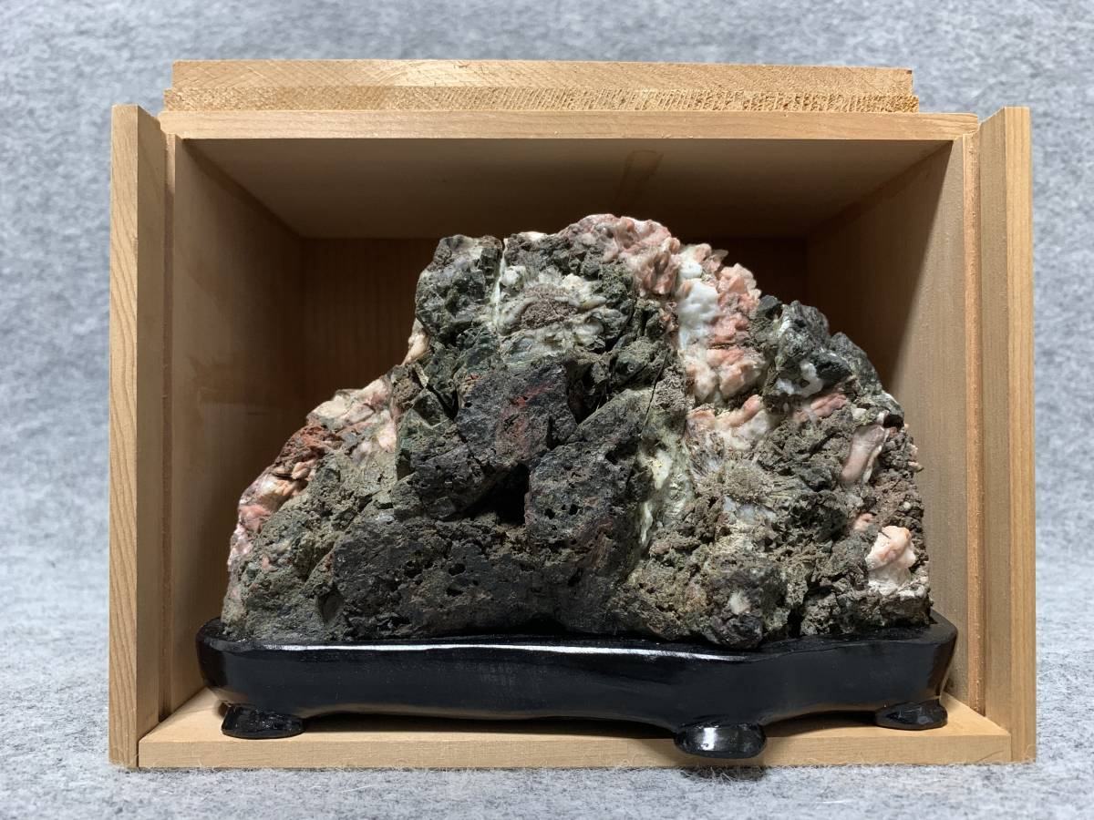 菊花石 ピンク花 根尾 鑑賞石 水石 自然石 木製台座・共箱 【公式通販】
