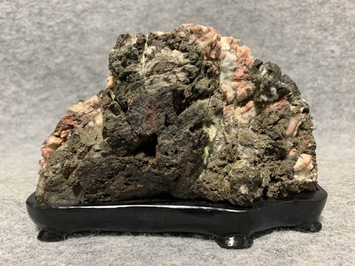 菊花石 ピンク花 根尾 鑑賞石 水石 自然石 木製台座・共箱 【公式通販】
