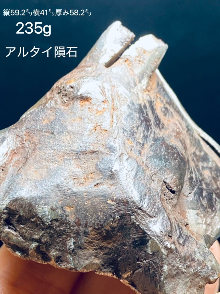 鉄隕石 アルタイ隕石 原石 外皮付き 重さ705g パラサイト アルタイ