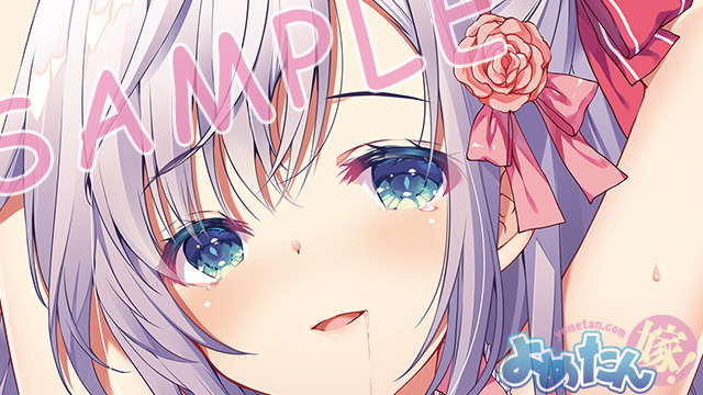 正規品新品 よめたん 琴坂響姫抱き枕カバー 通常版 新生地アクア 