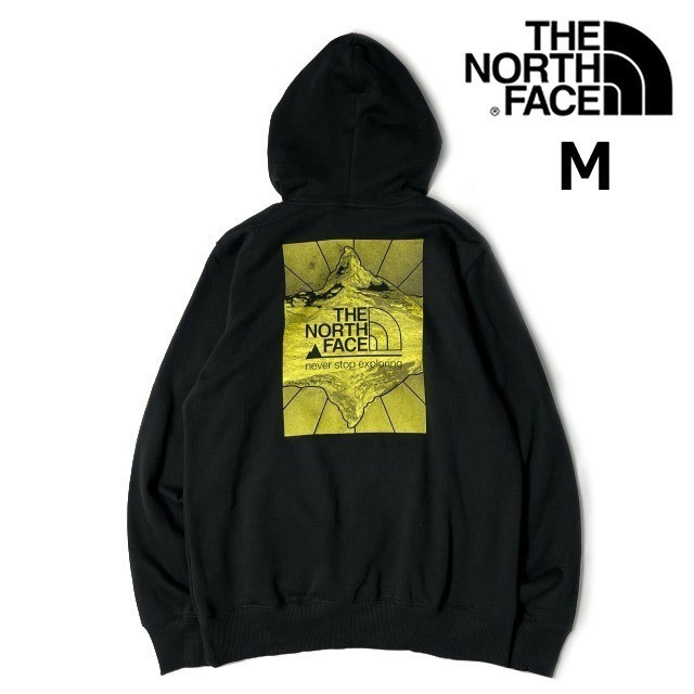 1円～!売切!正規新品THE NORTH FACE◇NOVELTY GRAPHIC HOODIE プル
