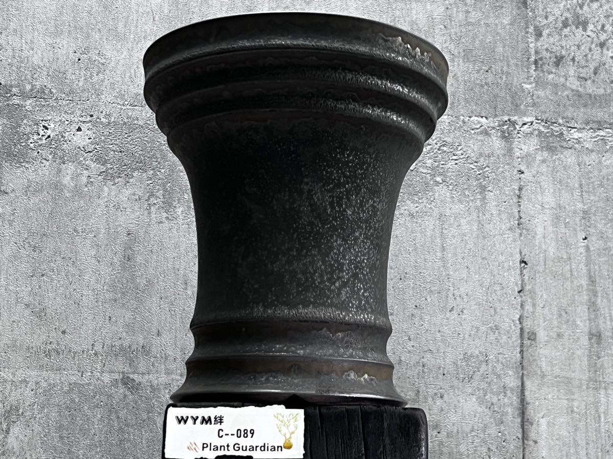 C089手作植木鉢XLサイズ 検invisible ink raw life factory カタチ製作所 中川智治 塊根植物グラキリス パキプス オペルクリカリア アガベ