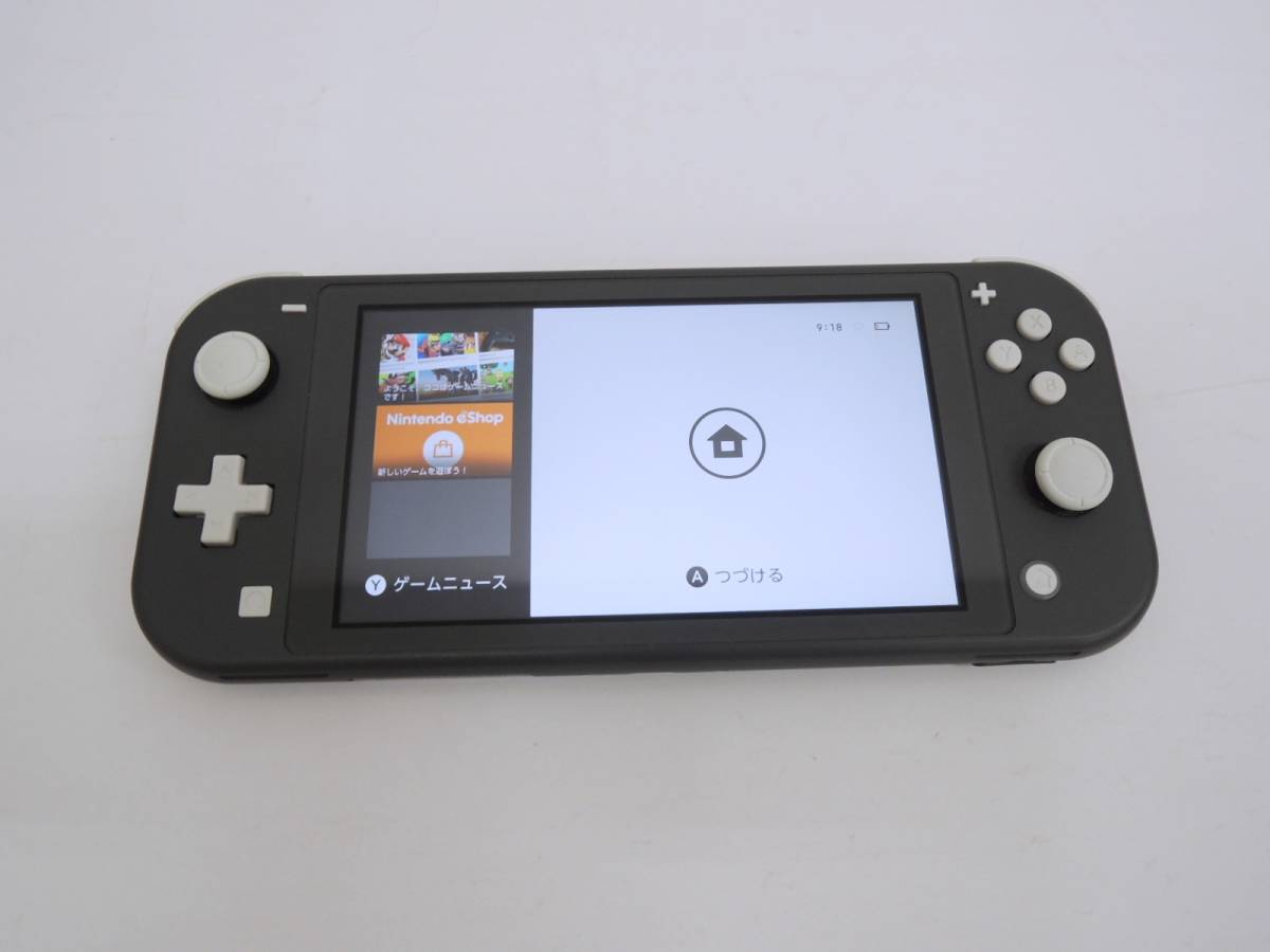 G-0404 Nintendo Switch Lite グレー【ジャンク】