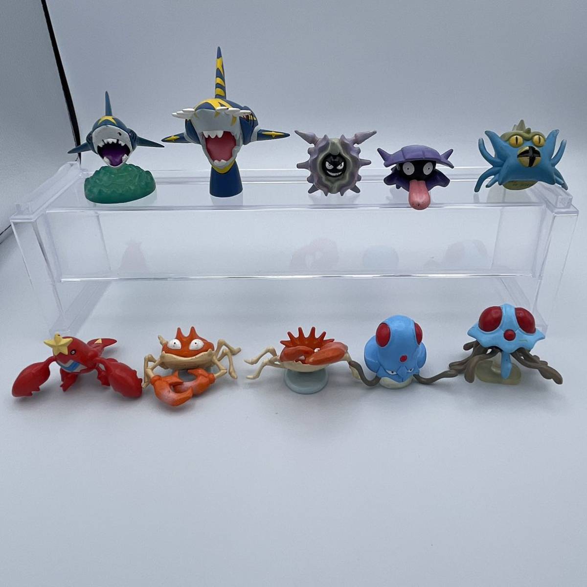 メガサメハダー メノクラゲ ドククラゲ シェルダー パルシェン クラブ