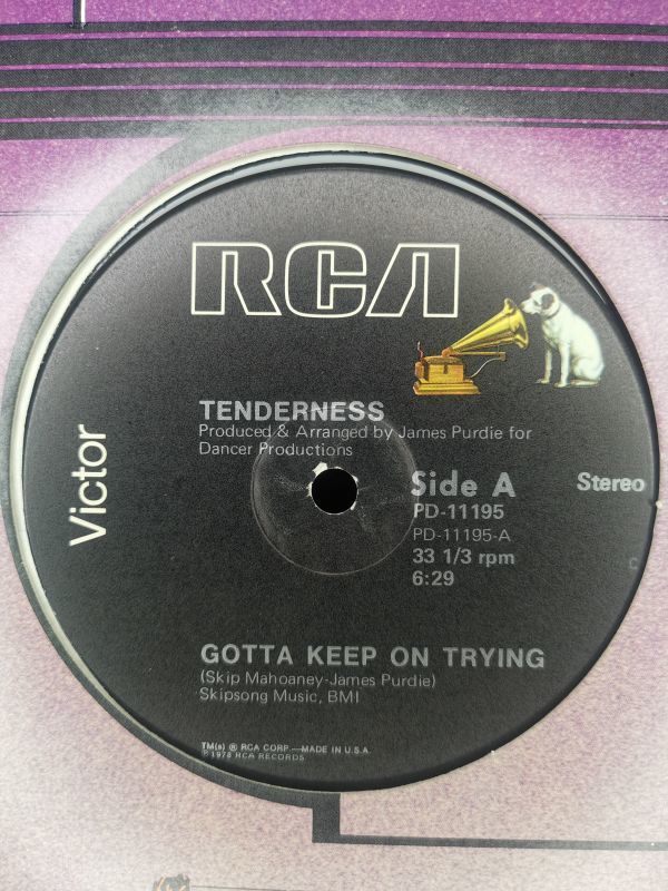 激レア Tenderness - Gotta Keep On Trying USオリジナル盤 12インチ