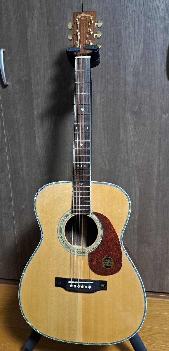 ギター Aria Dreadnoght AF-60 Aria Dreadnought AF-60 【公式通販】
