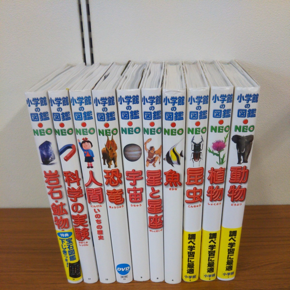 小学館の図鑑NEO 10冊 小学館 図鑑