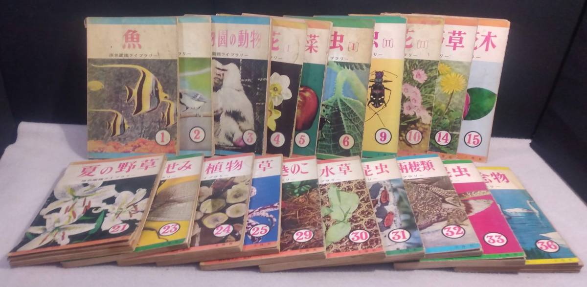 北隆館 不揃い20冊 ykbd⁄23⁄0516⁄p60⁄A⁄5☆原色図鑑ライブラリー 昭和