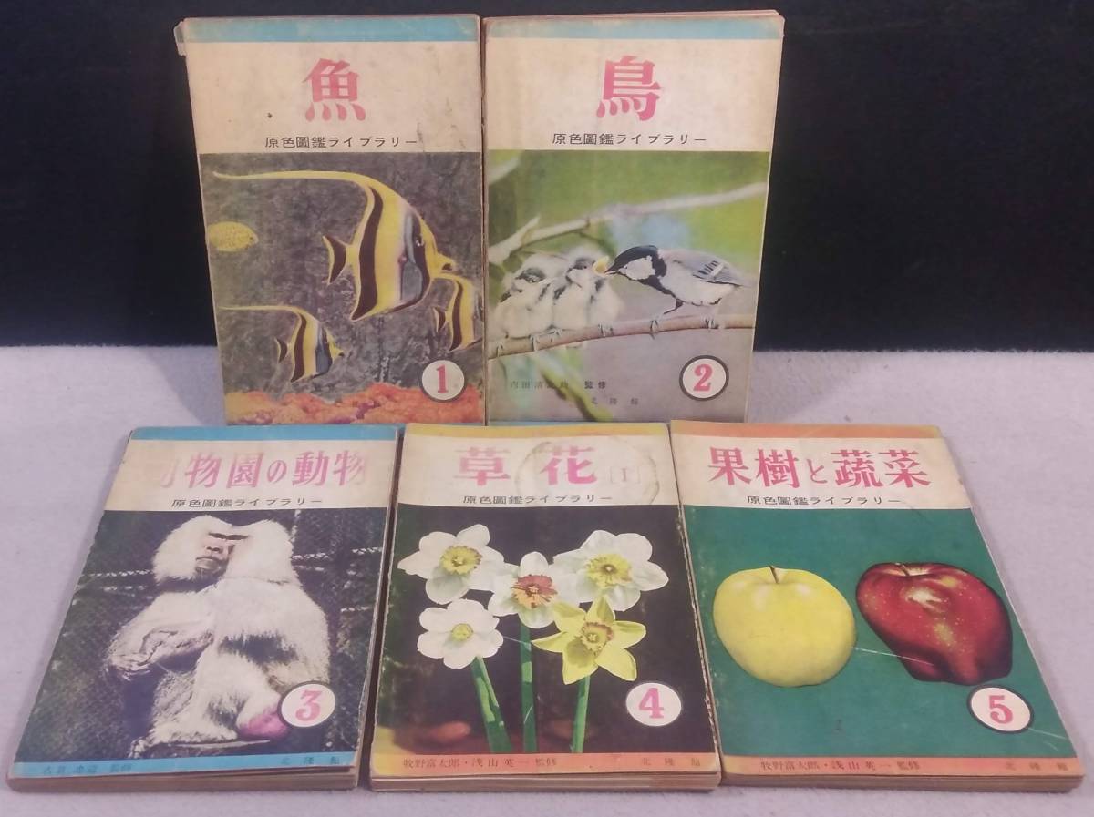 小学館 なぜなに学習図鑑 植物のふしぎ(再版・箱付 15 小学館なぜな