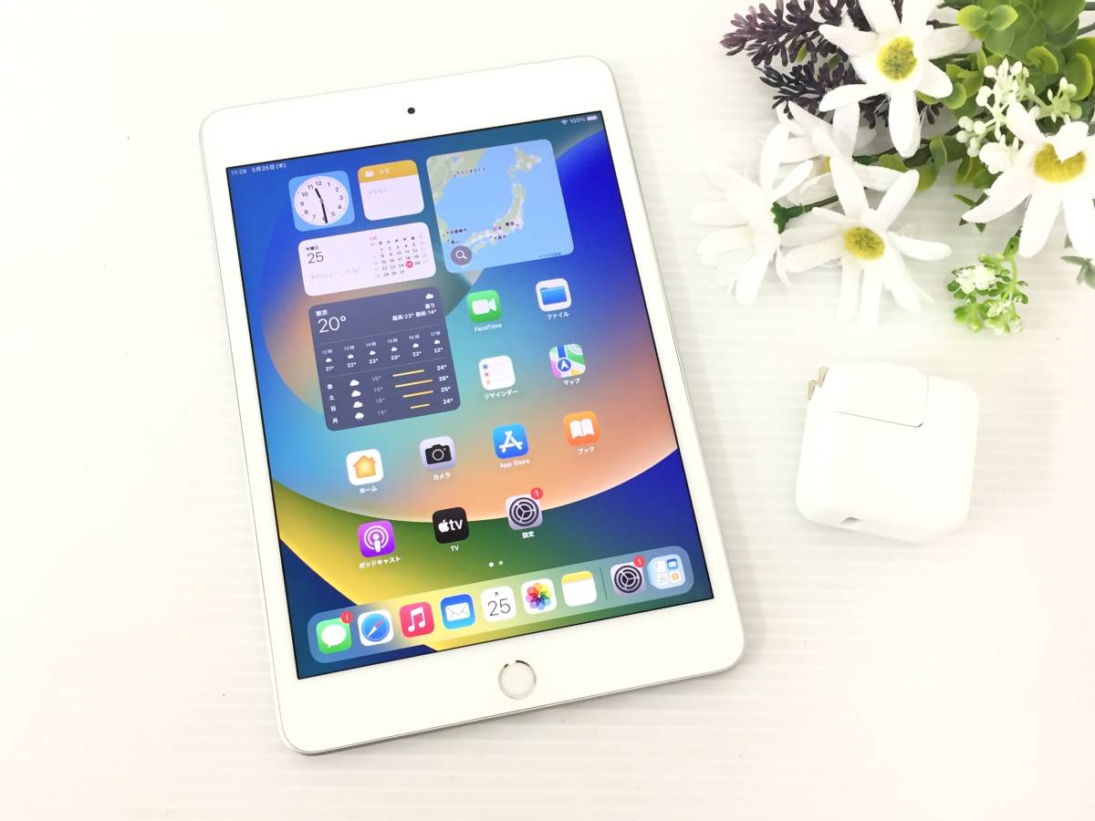 〇【良品】au iPad mini 第5世代 Wi-Fi+Cellularモデル 64GB A2124