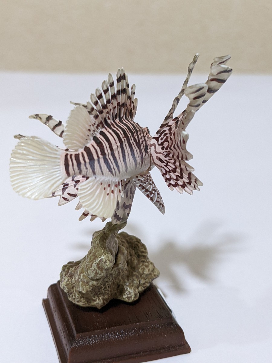 ネイチャーテクニカラー ガチャ 水族館 ミノカサゴ他 まとめて 楽天