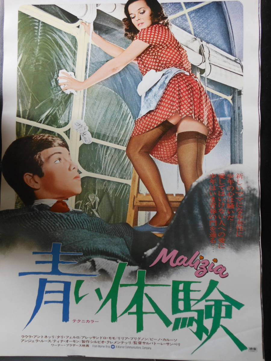 青い体験　当時物　額装ポスター 映画ポスター B2サイズ 「青い体験」(映画)｜売買されたオークション