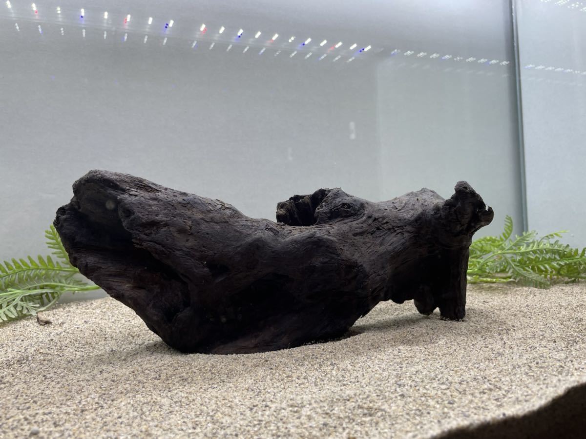 天然流木】☆黒ゴツい!多用途形状☆25×15×15cm アクアリウム 水槽 