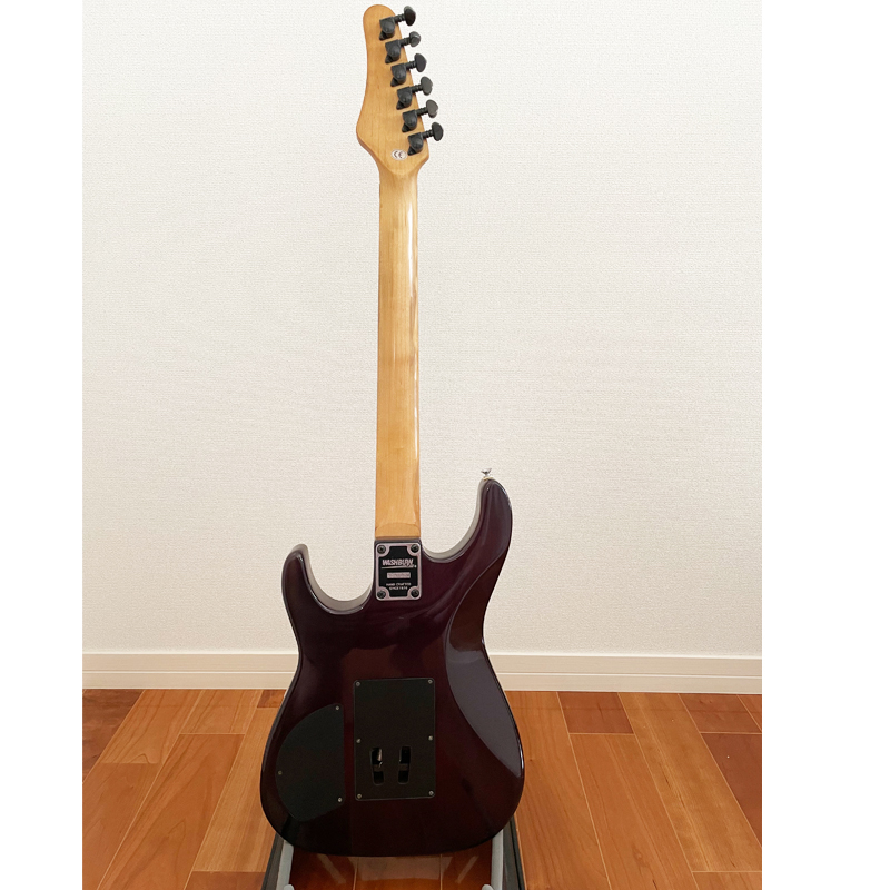 Washburn Stevie Salas Signature Model Washburn Stevie Salas MG