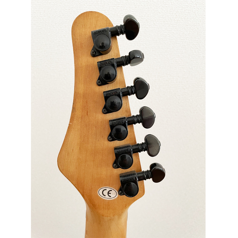 Washburn Stevie Salas Signature Model Washburn Stevie Salas MG