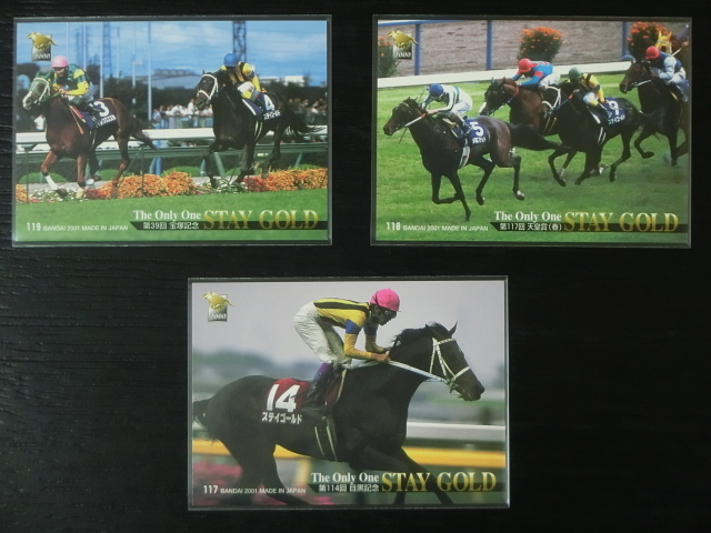 サラブレッドカード ステイゴールド(2001ドバイシーマクラシック