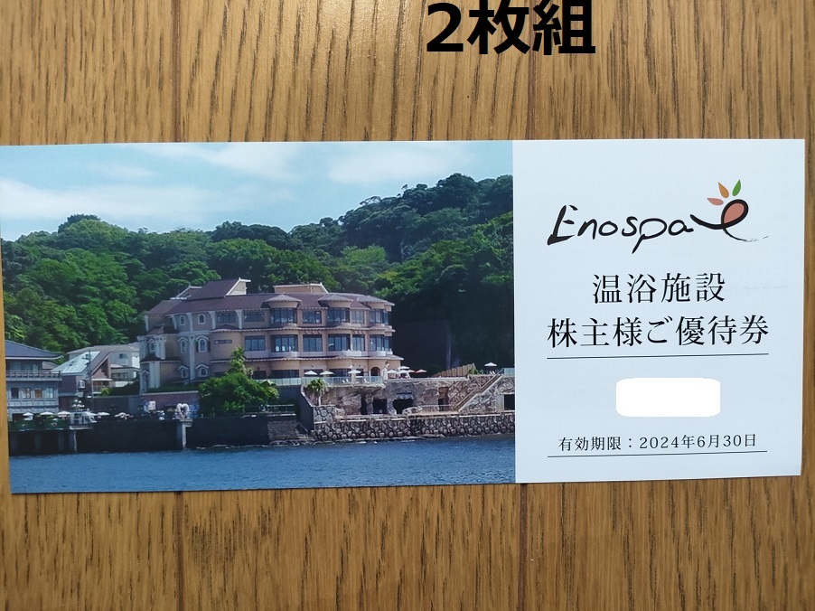 飯田グループ 江の島アイランドスパ 株主優待券 2枚 粘り強く