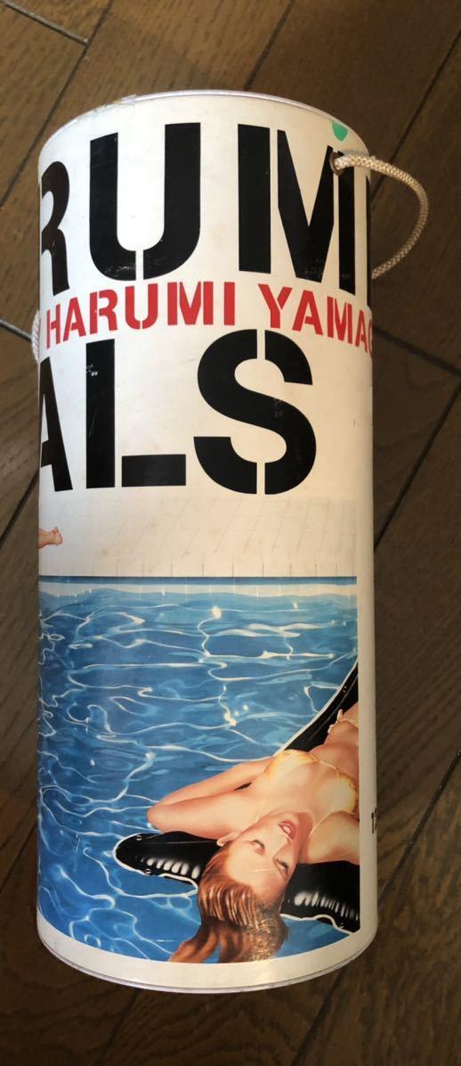 数量限定，最新作 山口はるみ HARUMI YAMAGUCHI HARUMI GALS(ジグソーパズル)｜売買されたオークション情報、yahooの商品情報をアーカイブ公開 - オークファン ジグソーパズル