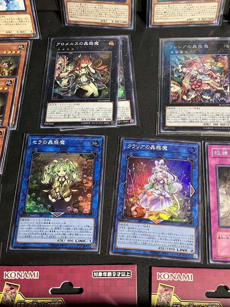 遊戯王 ストラクチャーデッキ 蟲惑魔の森 3BOX新品未開封品＋汎用 
