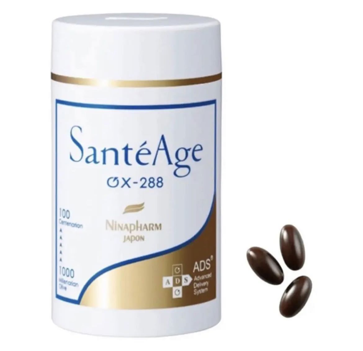 ニナファームジャパンサンテアージュOX288新品未開封