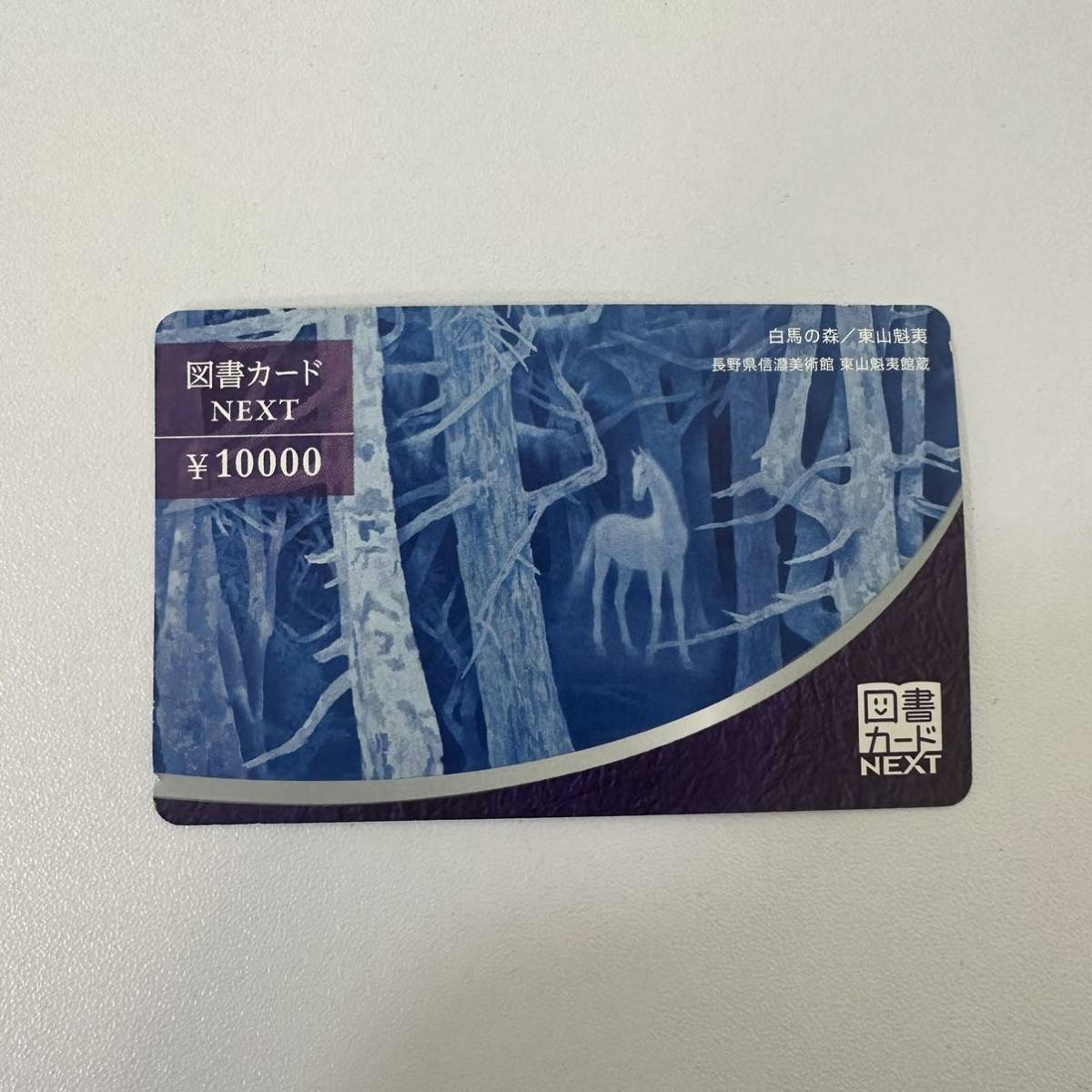 TN0703】NEXT 図書カード ネクスト 10000円分 1万円分 名画 東山魁夷