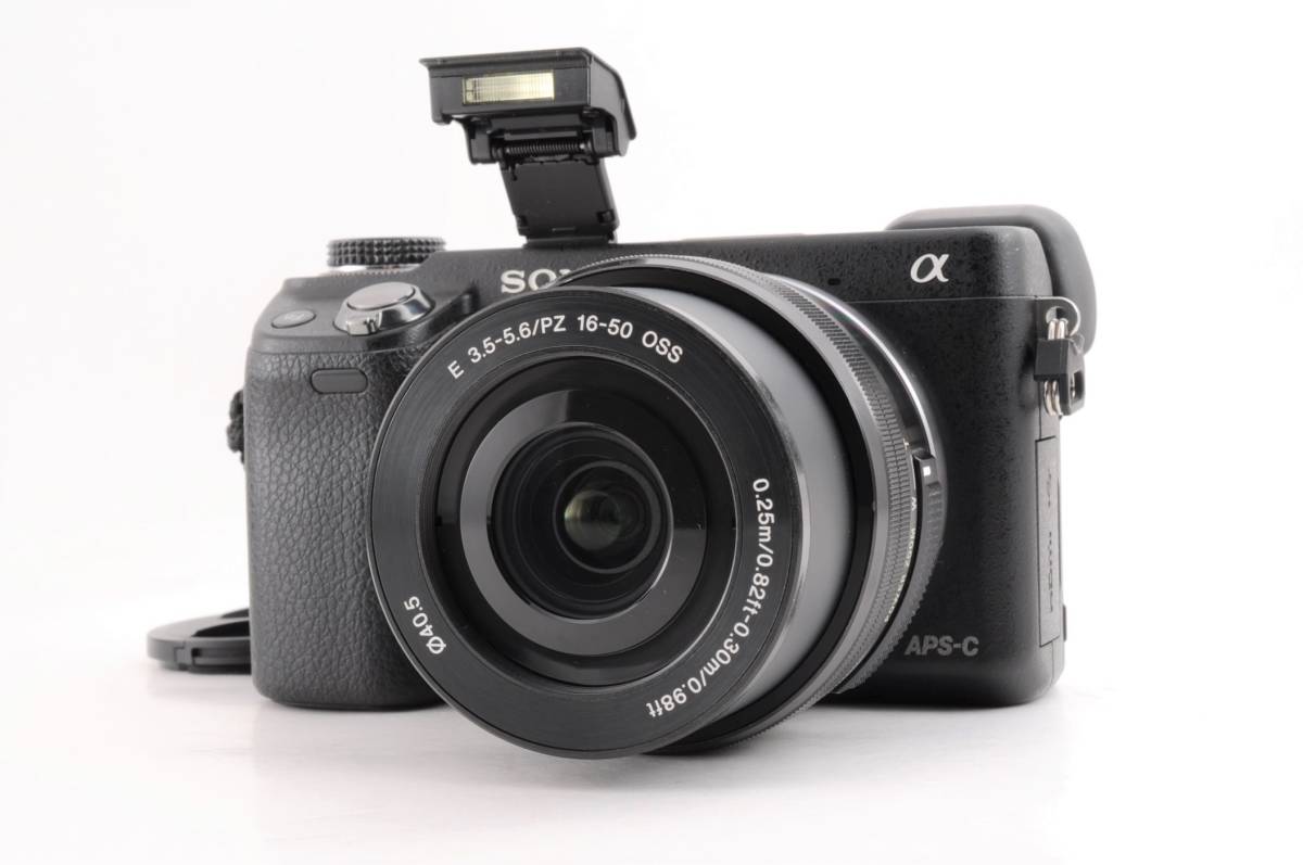 動作品 ソニー SONY α NEX-6 レンズ E 16-50mm f3.5-5.6 PZ OSS
