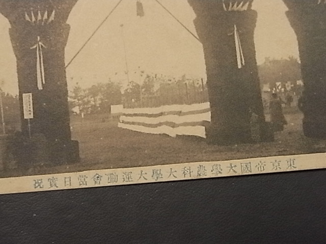 戦前　★「東京帝国大学　運動会」　絵葉書　　３枚　