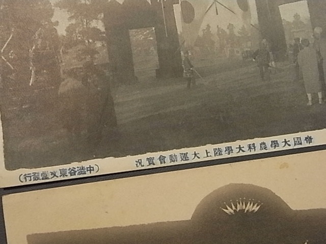 戦前　★「東京帝国大学　運動会」　絵葉書　　３枚　