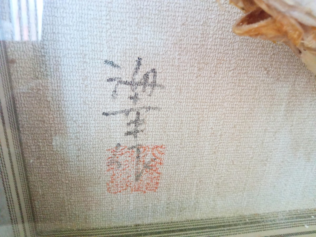 珍品 八角 魚の剥製 魚剥製 ハッカク 剥製 標本 はっかく 海幸 作 