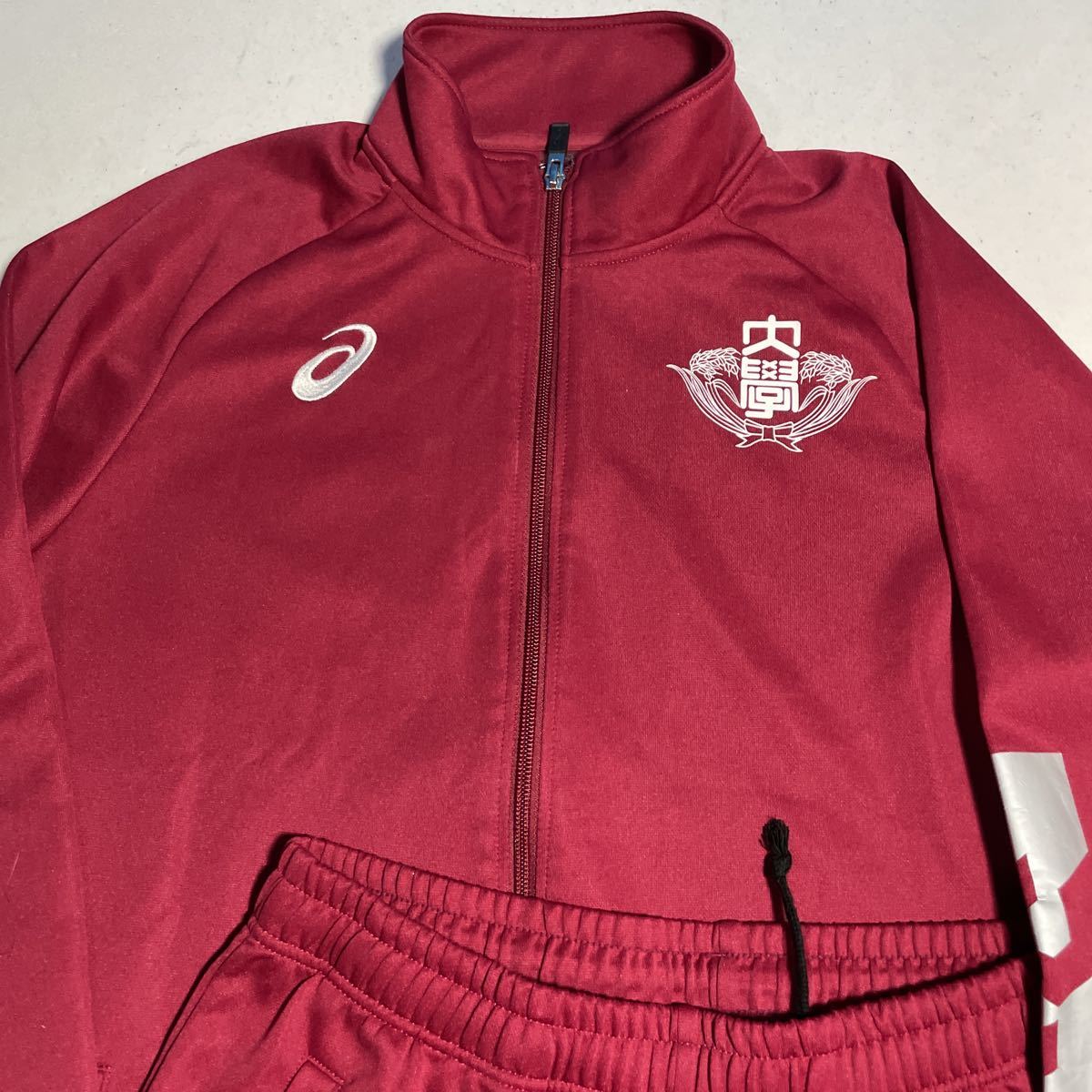 【支給品】　早稲田大学　ジャージ　上 支給品】早稲田大学ジャージ上下セット