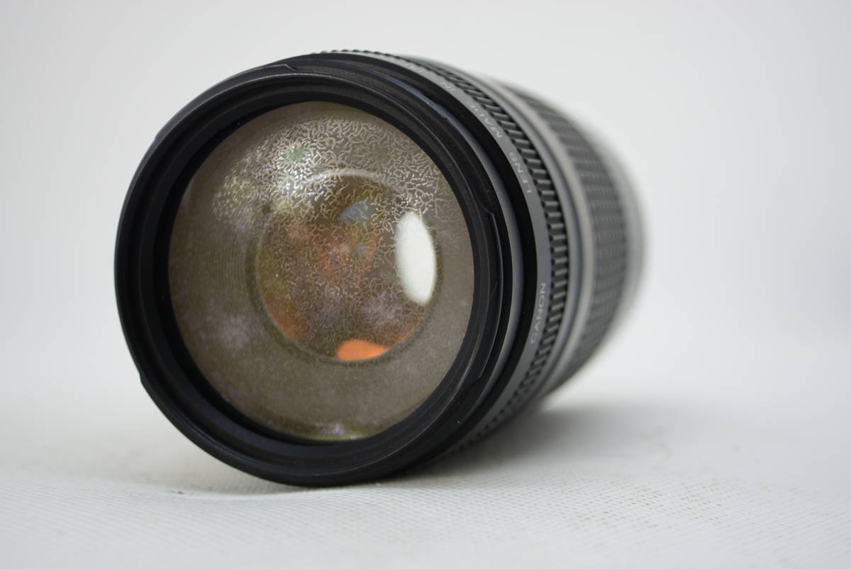 ☆実用品☆Canon キヤノン EF 75-300mm F4-5.6 II #2350