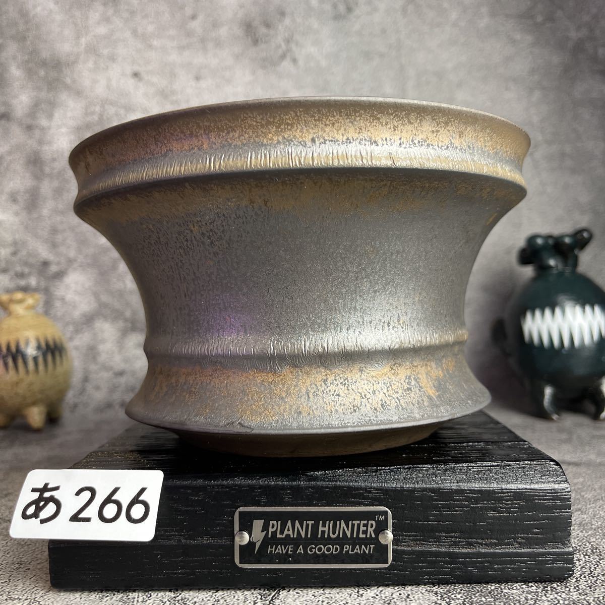 B103手作植木鉢素八九陶器 Lサイズ検索（ 塊根植物パキポディウム
