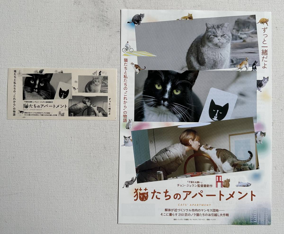 映画『 猫たちのアパートメント 』チケット半券＋チラシ美品