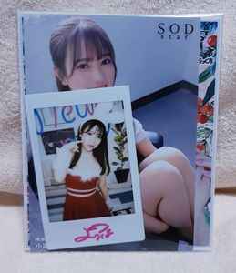 小湊よつ葉のYahoo!オークション(旧ヤフオク!)の相場・価格を見る  