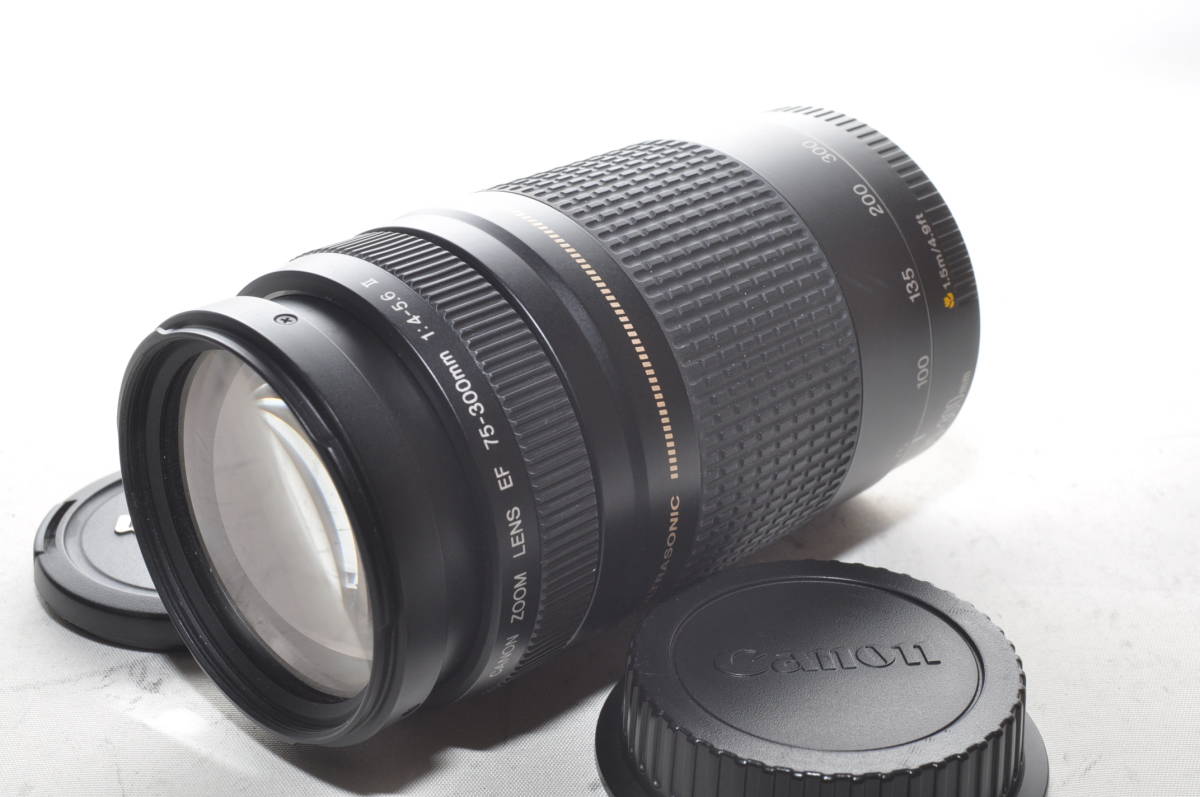 ★実用美品★ CANON キャノン EF 75-300mm F4-5.6 II ★動作OK、カビクモリ★#10861