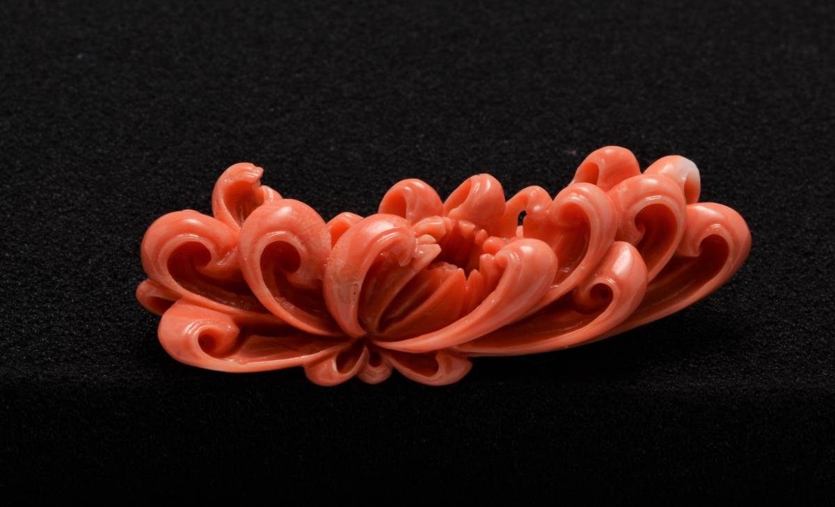 至高の逸品☆アンティーク 珊瑚・彫刻 「乱菊」ブローチ ☆82802