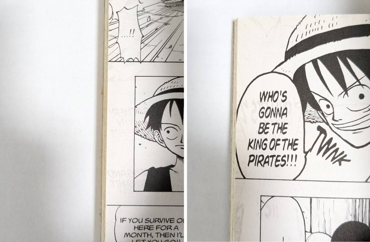 ONE PIECE volume1 Limited Edition 628/5000 Eiichiro Oda 英語版