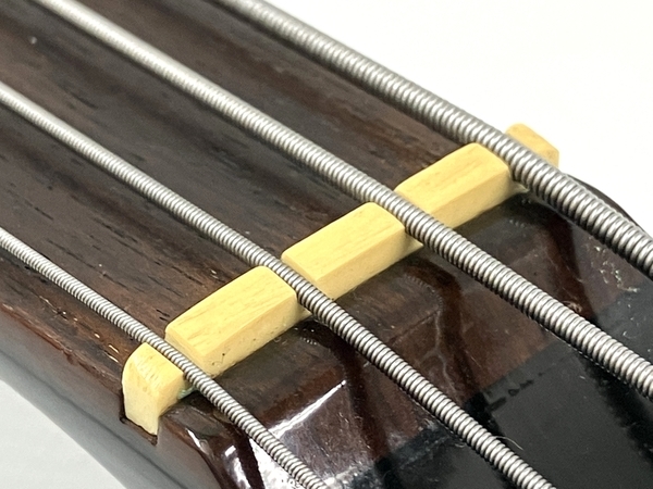 FERNANDES LIMITED EDITION original custom body フェルナンデス
