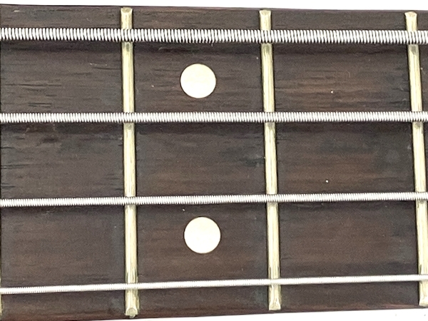 FERNANDES LIMITED EDITION original custom body フェルナンデス