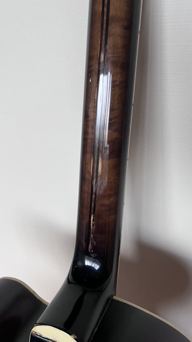 Nardan ナルダン ピックギター フルアコースティック DeArmond pickup