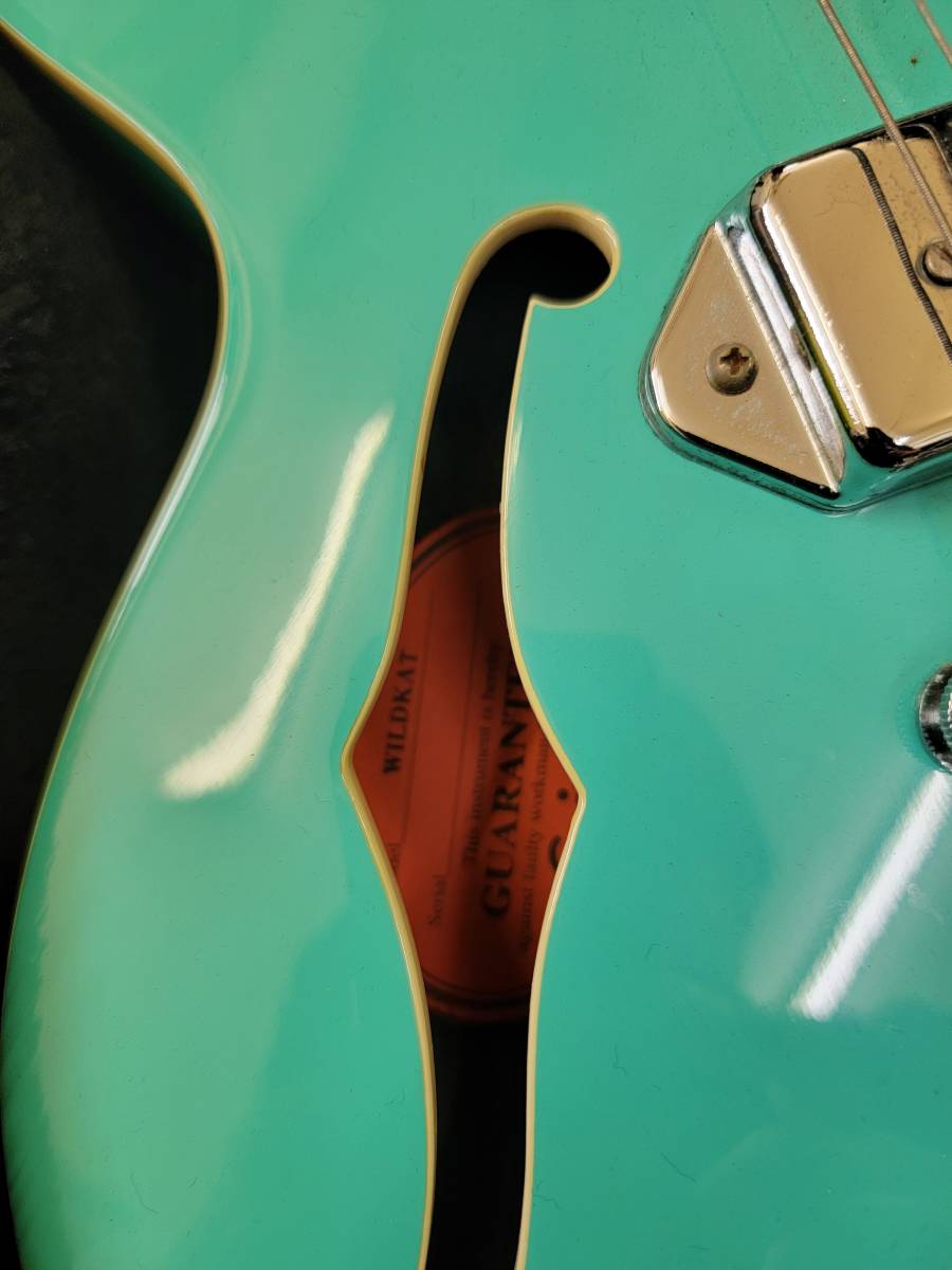 Epiphone エピフォン WILDKAT ギター ハードケース付き 2001年