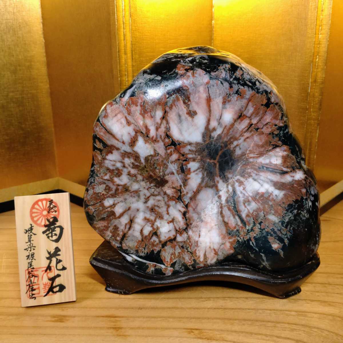 菊花石 鑑賞石 岐阜県根尾谷産 観賞石 水石 盆石 (木製台座付き 