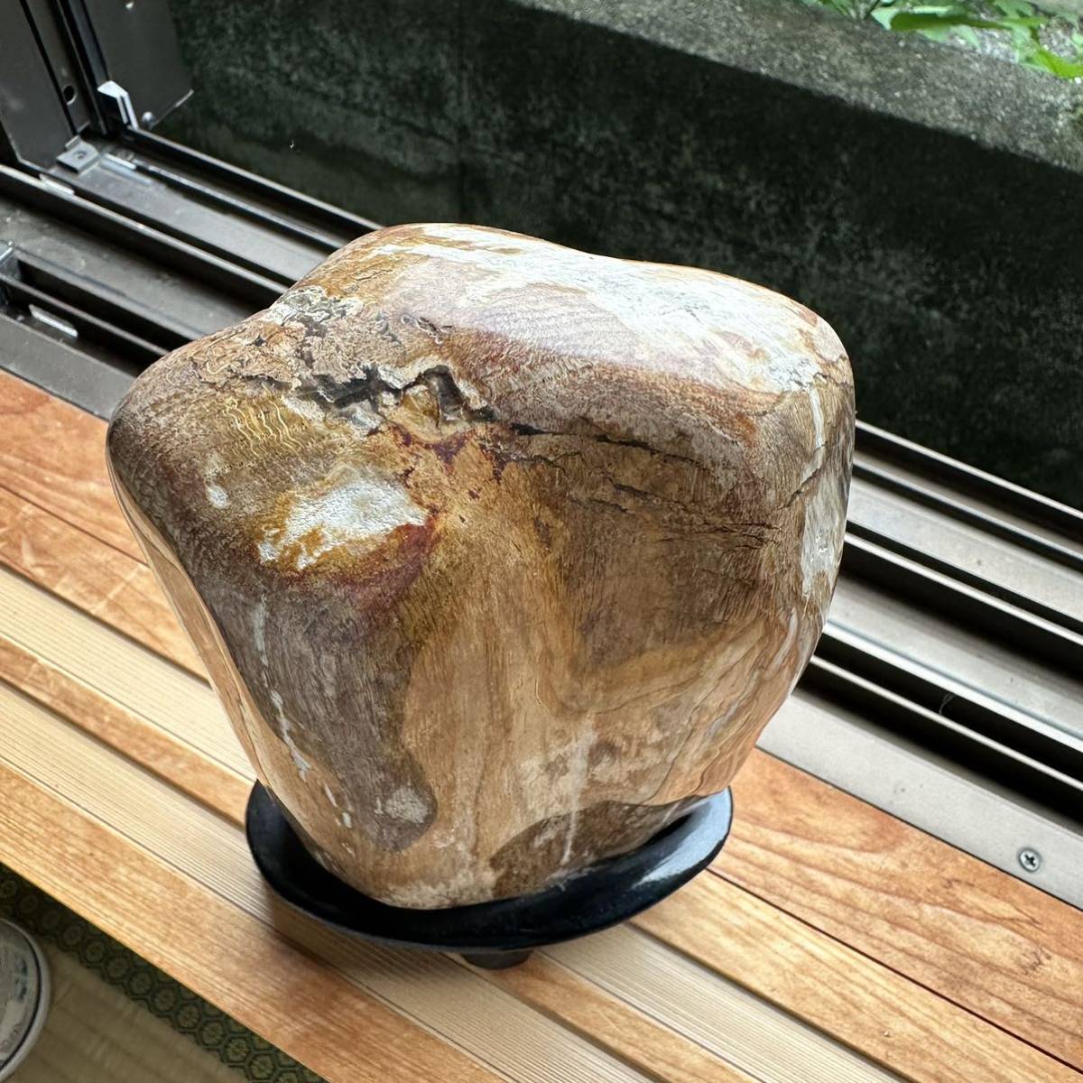 北海道産 銘石 柱化木 鑑賞石 木台付き2.5kg 飾り石 木 石の入札履歴 