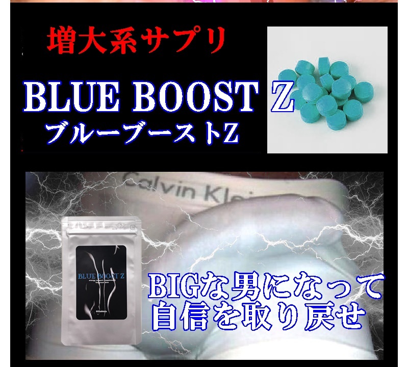 HAZARD ZX (ハザードZX) ■賞味期限2023.11 & BLUE BOOST Z(ブルーブーストZ) 賞味期限 ■2024.02 増大系サプリ２点セットお買得_2