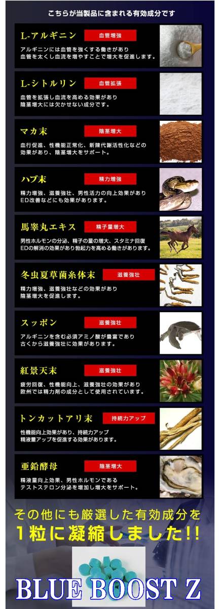 HAZARD ZX (ハザードZX) ■賞味期限2023.11 & BLUE BOOST Z(ブルーブーストZ) 賞味期限 ■2024.02 増大系サプリ２点セットお買得_4