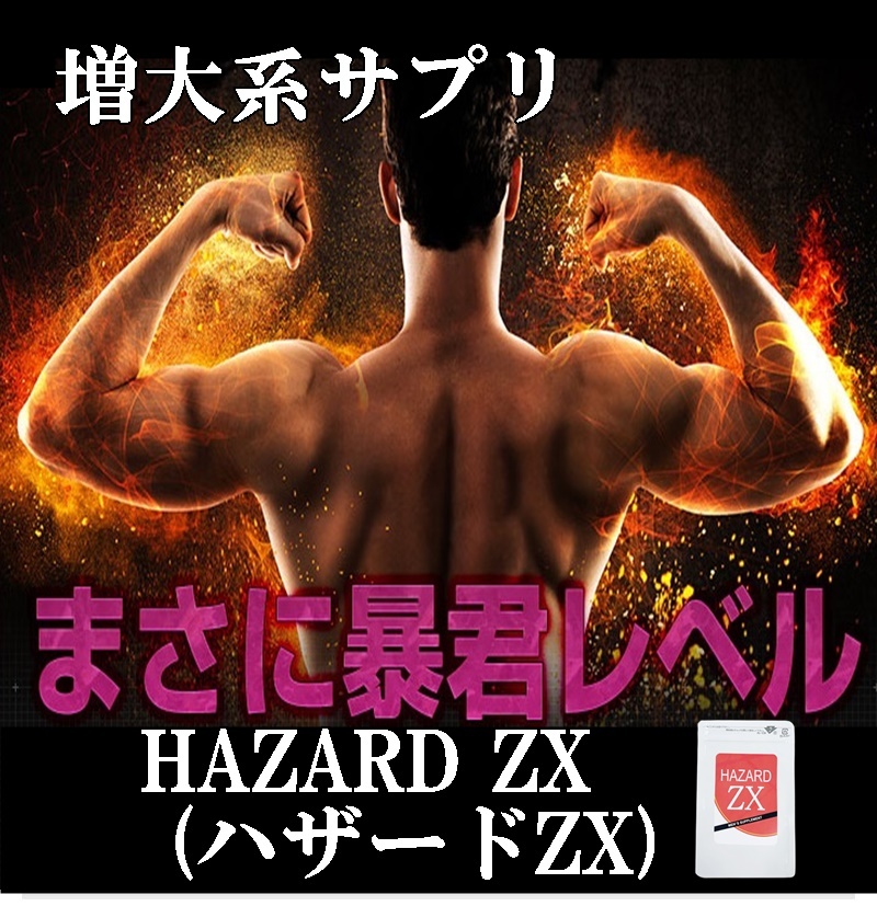 HAZARD ZX (ハザードZX) ■賞味期限2023.11 & BLUE BOOST Z(ブルーブーストZ) 賞味期限 ■2024.02 増大系サプリ２点セットお買得_8