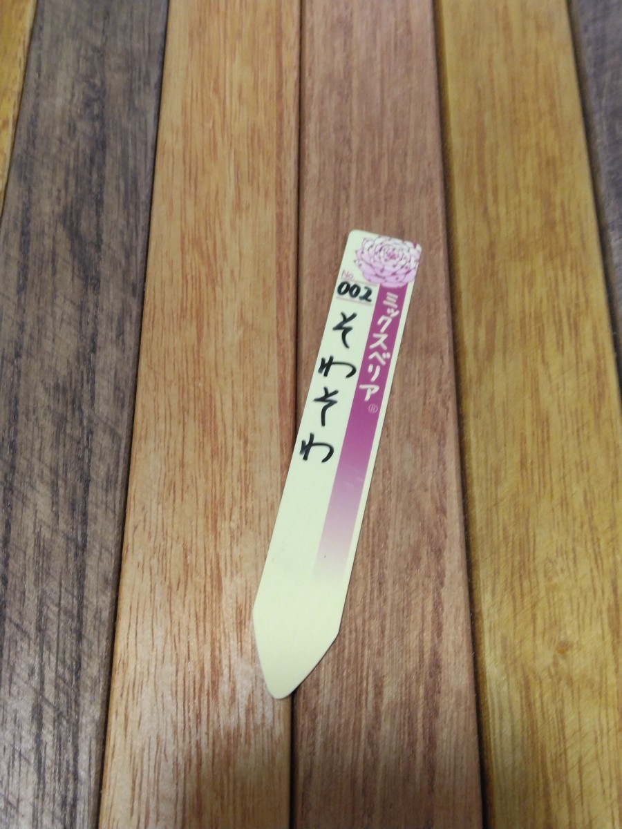 おらいさんミックスベリア　002そわそわ　札のみ
