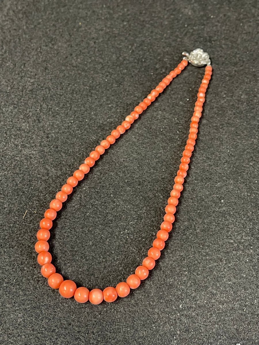 SM0510-16I 珊瑚 ネックレス＆ブローチ 2点セット 40cm アクセサリー