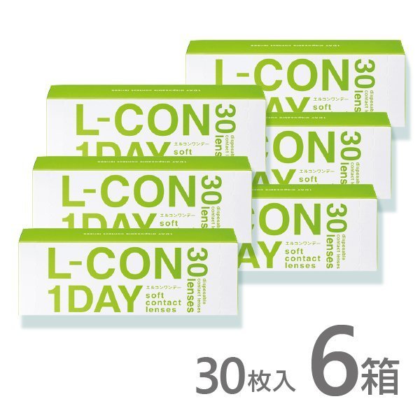 エルコンワンデー 6箱 30枚入 コンタクトレンズ 1day コンタクト